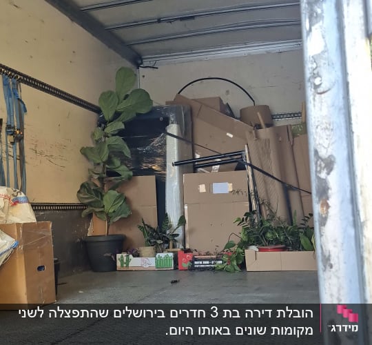 תכולת משאית עם קרטונים וצמחים להובלה